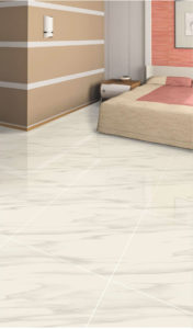Soluble Salt Vitrified Tile 2034 ambient