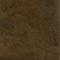full body 600600–10 gabbro brown